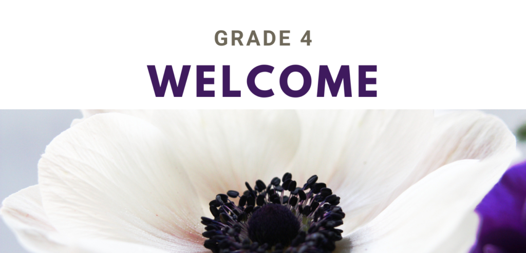 Welcome Grade 4 Ruhi Book 3