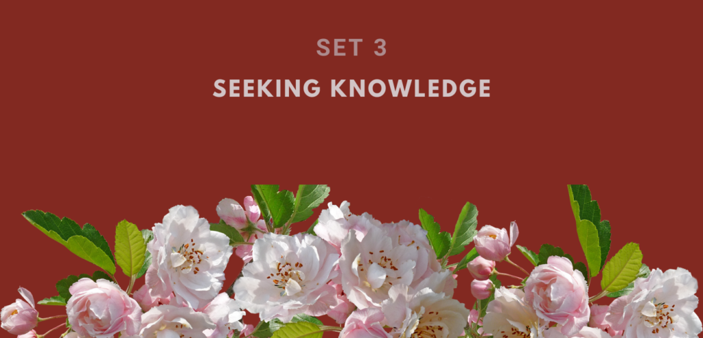 SEEKING KNOWLEDGE GRADE 2 SET 3 LESSON 7 8 AND 9