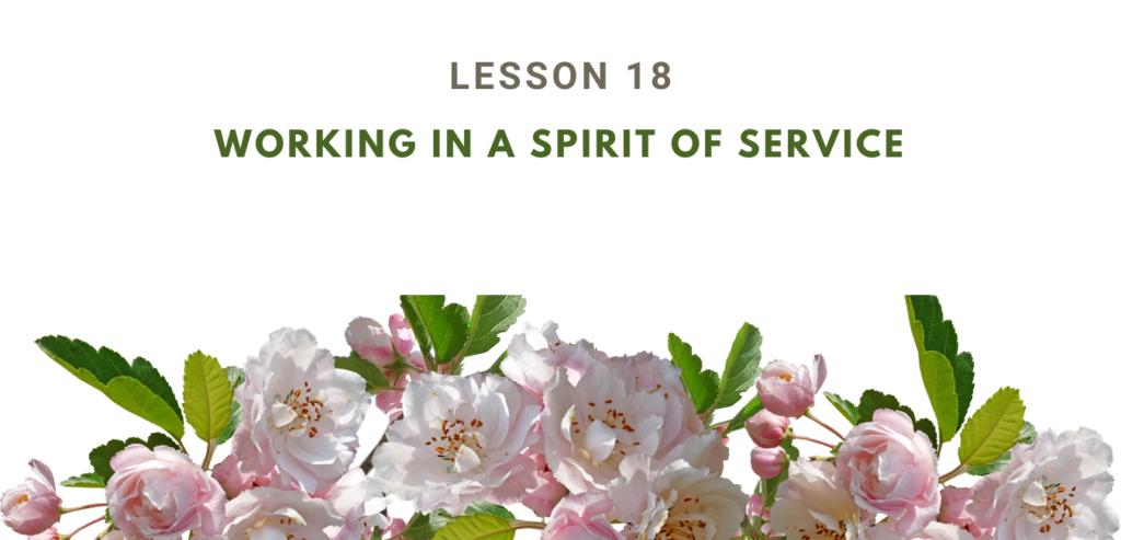 LESSON 18 WORKING IN A SPIRIT OF SERVICE L  RUHI BOOK 3 GRADE 3 SET 6